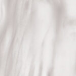 SDS_Shell_Travertine